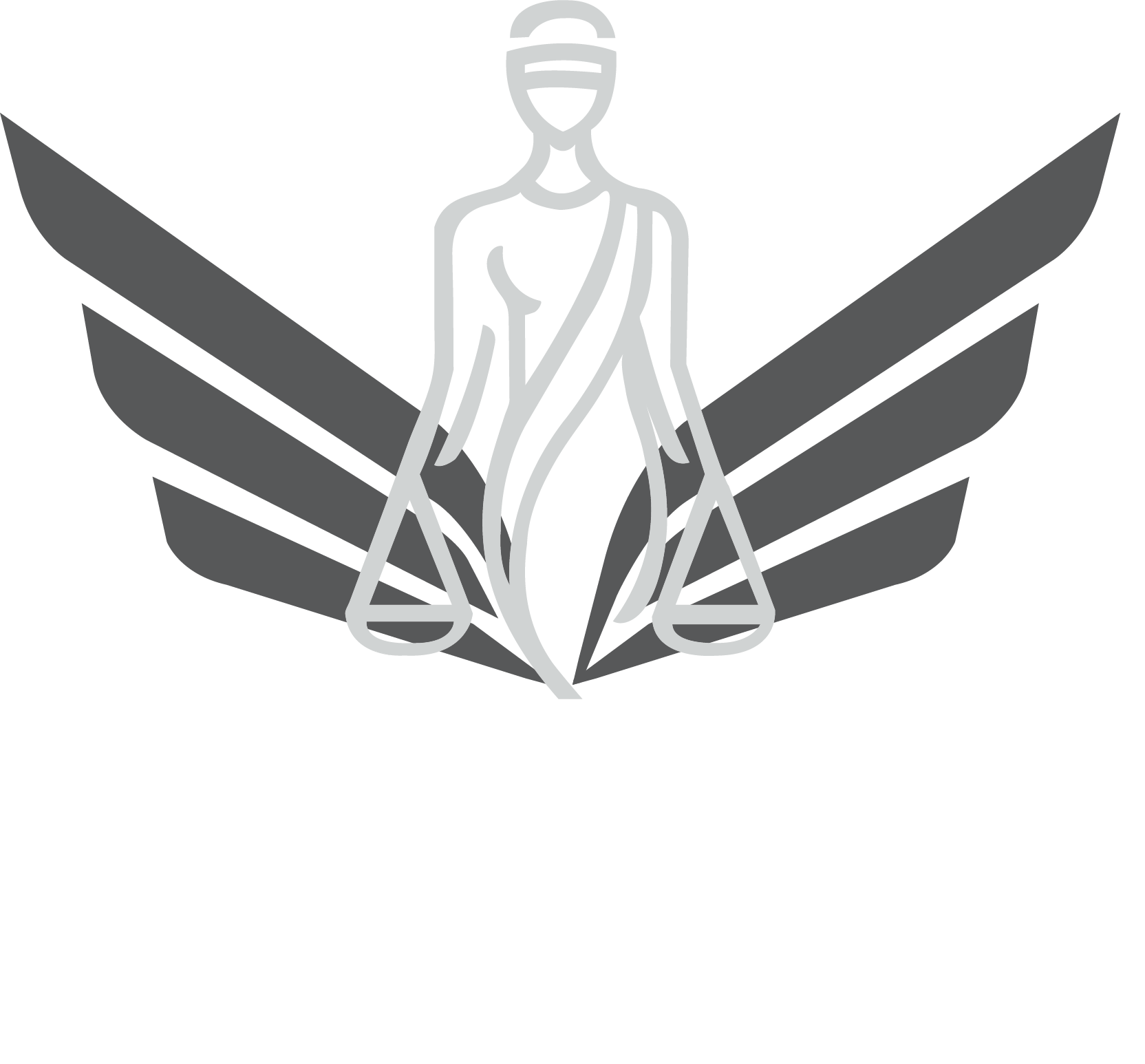Vensa Hukuk ve Danışmanlık